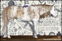 Horse Color:White Spotted Liver Red Dun Splash 