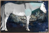 Horse Color:Smoky Grullo Chinchilla Splash 