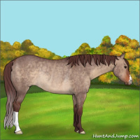 Horse Color:Chocolate Bay Dun Rabicano