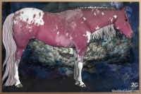 Horse Color:White Spotted Silver Brown Tobiano Appaloosa 