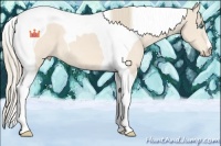Horse Color:Perlino Tobiano 
