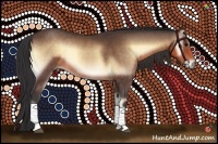 Horse Color:Buckskin Onyx 