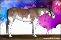 Horse Color:Brown Splash