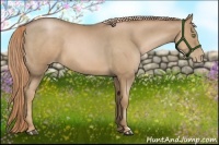 Horse Color:Liver Red Roan Pearl Sabino