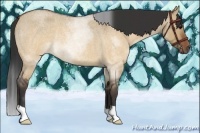 Horse Color:Brown Roan Dun Rabicano