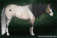 Horse Color:Bay Roan Dun Splash Rabicano Brindle