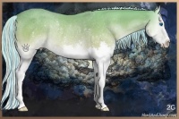 Horse Color:Painted Silver Buckskin Onyx Splash Rabicano