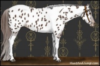 Horse Color:Liver Chestnut Tobiano Near Leopard 