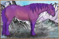 Horse Color:Watercolor Bay 