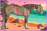 Horse Color:Nacre Chocolate Bay Dun Sabino Splash 