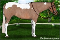 Horse Color:Silver Bay Roan Tobiano 