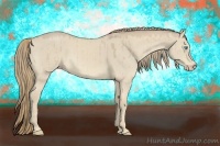 Horse Color:Smoky Creme Dun 
