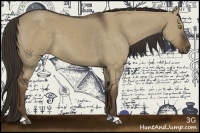 Horse Color:Liver Red Dun