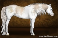 Horse Color:White Spotted Chocolate Palomino Pearl Sabino Splash 