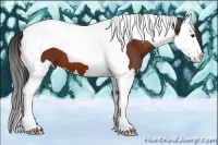 Horse Color:Brown Splash Tobiano 