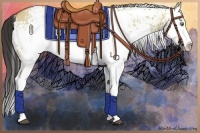 Horse Color:White Spotted Buckskin Dun Splash 