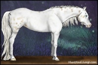 Horse Color:White Spotted Liver Chestnut Pearl Mushroom Sabino Near Leopard 