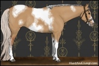 Horse Color:Silver Bay Dun Sabino Tobiano Frame Rabicano 
