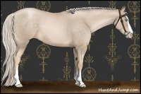 Horse Color:Chocolate Palomino Pearl Sabino 
