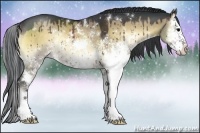 Horse Color:Brown Onyx Sabino Splash Rabicano 