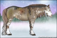 Horse Color:Liver Red Dun Sabino Splash Rabicano
