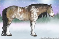 Horse Color:Brown Dun Sabino Rabicano