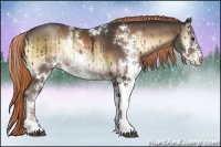 Horse Color:Liver Red Onyx Sabino Rabicano 