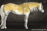 Horse Color:White Spotted Silver Smoky Blue Onyx 