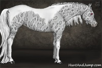 Horse Color:Silver Smoky Creme Chinchilla Ice Tobiano 
