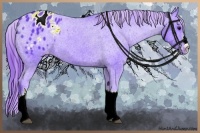 Horse Color:Watercolor Black Appaloosa 