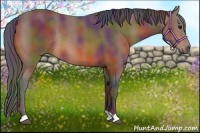 Horse Color:Nacre Bay Rabicano 