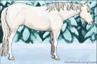 Horse Color:Perlino Tobiano Varnish 
