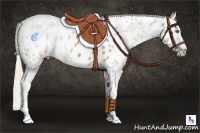 Horse Color:White Spotted Silver Brown Ice Dun Sabino Appaloosa Rabicano