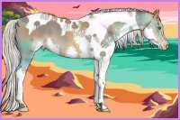 Horse Color:Silver Bay Splash Tobiano 