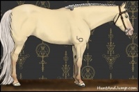 Horse Color:Silver Sable Champagne Dun 