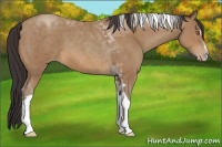 Horse Color:Sable Champagne Sabino Tobiano