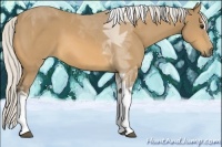 Horse Color:Silver Buckskin Sabino Tobiano 
