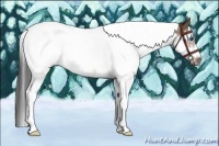Horse Color:White Spotted Brown Splash Tobiano Frame