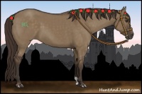 Horse Color:Liver Red Dun 