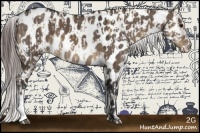 Horse Color:Silver Brown Dun Appaloosa and Brown Dun Appaloosa