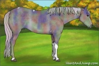 Horse Color:Nacre Silver Smoky Black Tobiano 