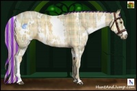 Horse Color:Painted Plaid White Spotted Palomino Ice
