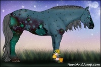 Horse Color:ERROR: UNKNOWN ANOMALY