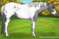 Horse Color:Blue Roan Tobiano Frame Blanket 
