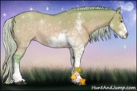 Horse Color:Watercolor Silver Buckskin Dun Sabino
