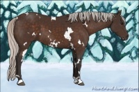 Horse Color:White Spotted Silver Brown