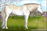 Horse Color:White Spotted Perlino Sabino Splash