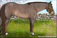 Horse Color:Liver Red Roan 