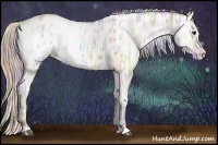 Horse Color:Nacre White Spotted Silver Bay Ice Dun Appaloosa