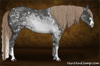 Horse Color:Liver Red Ice Roan Splash 